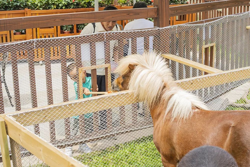 超级详细的广州长隆旅游攻略,超详细的广州长隆游玩攻略