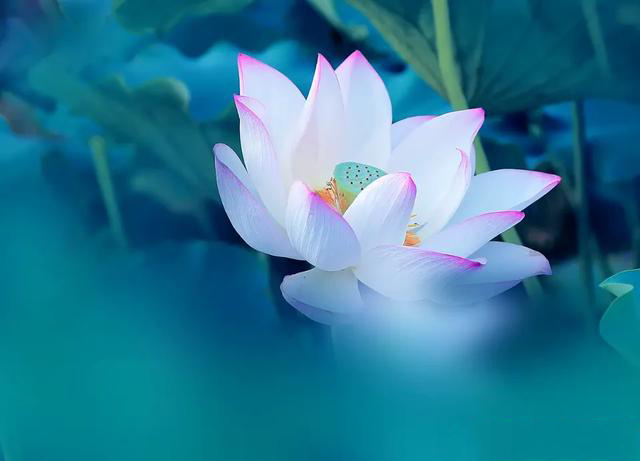 摄影有哪些乐趣和意义,摄影爱好者都喜欢拍什么