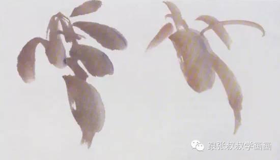 写意柿子叶的画法步骤图,徐湛写意柿子的画法