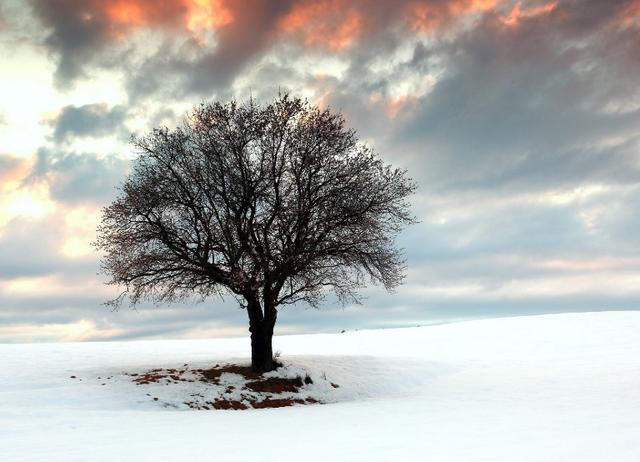 期货交易10大法则,期货交易分析的十大理论