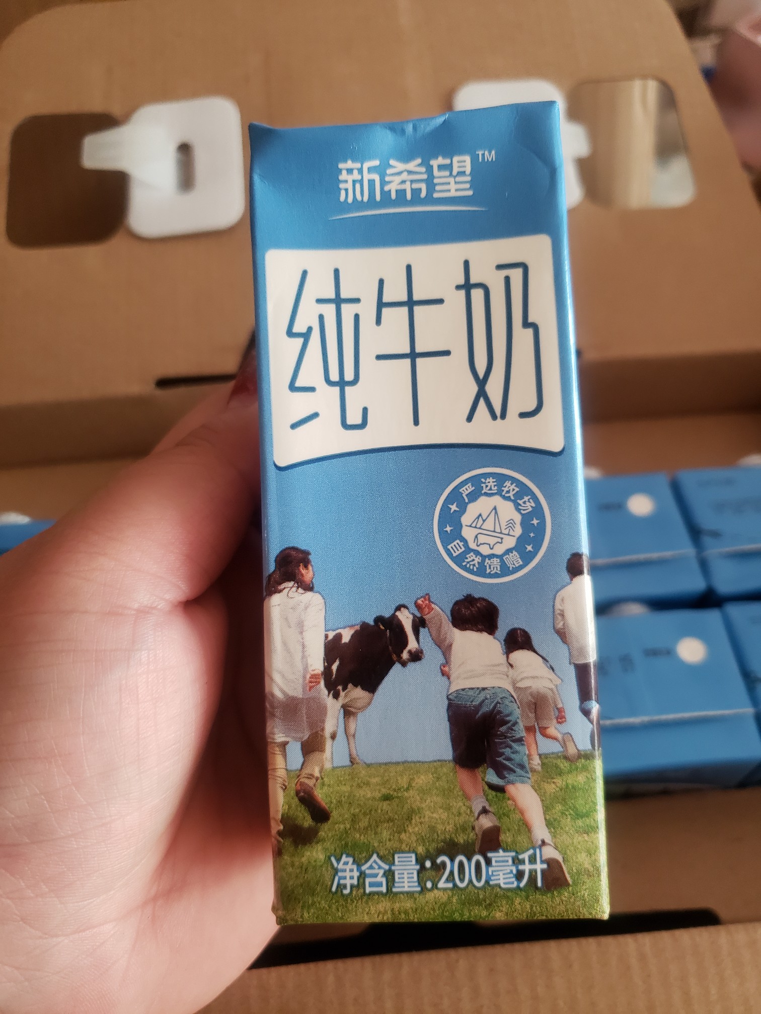 双11必买清单营养牛奶,618超值爆款牛奶