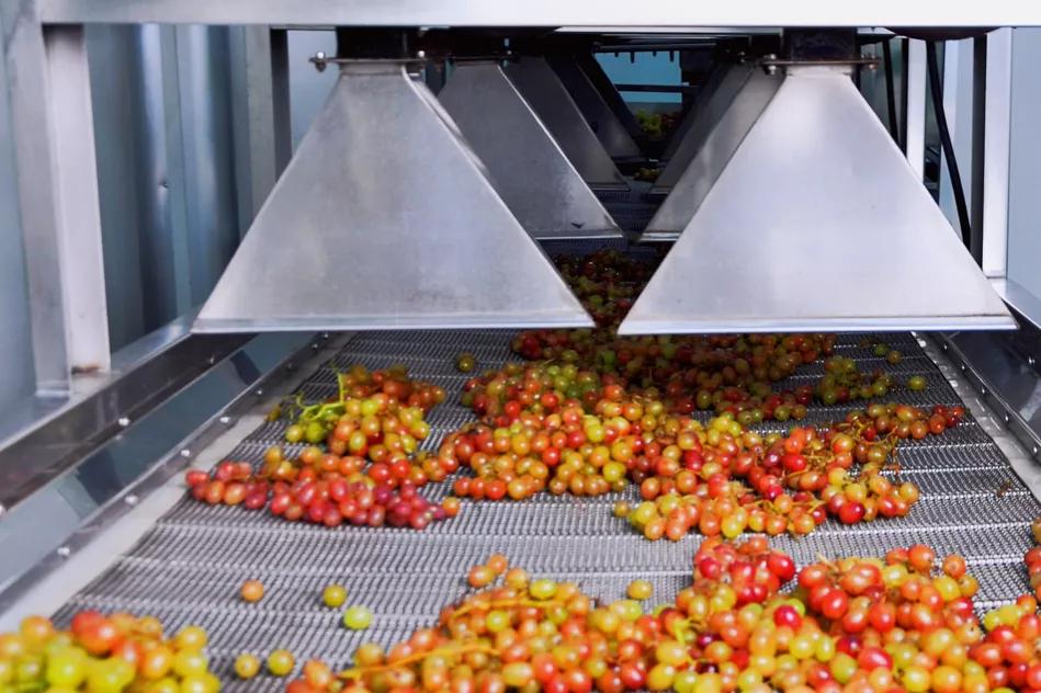 鏋滈叿鏈夐檺鍏徃,鏋滈叿