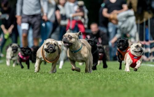 关于德国,那些你不知道的冷知识(德国人有趣的一面)