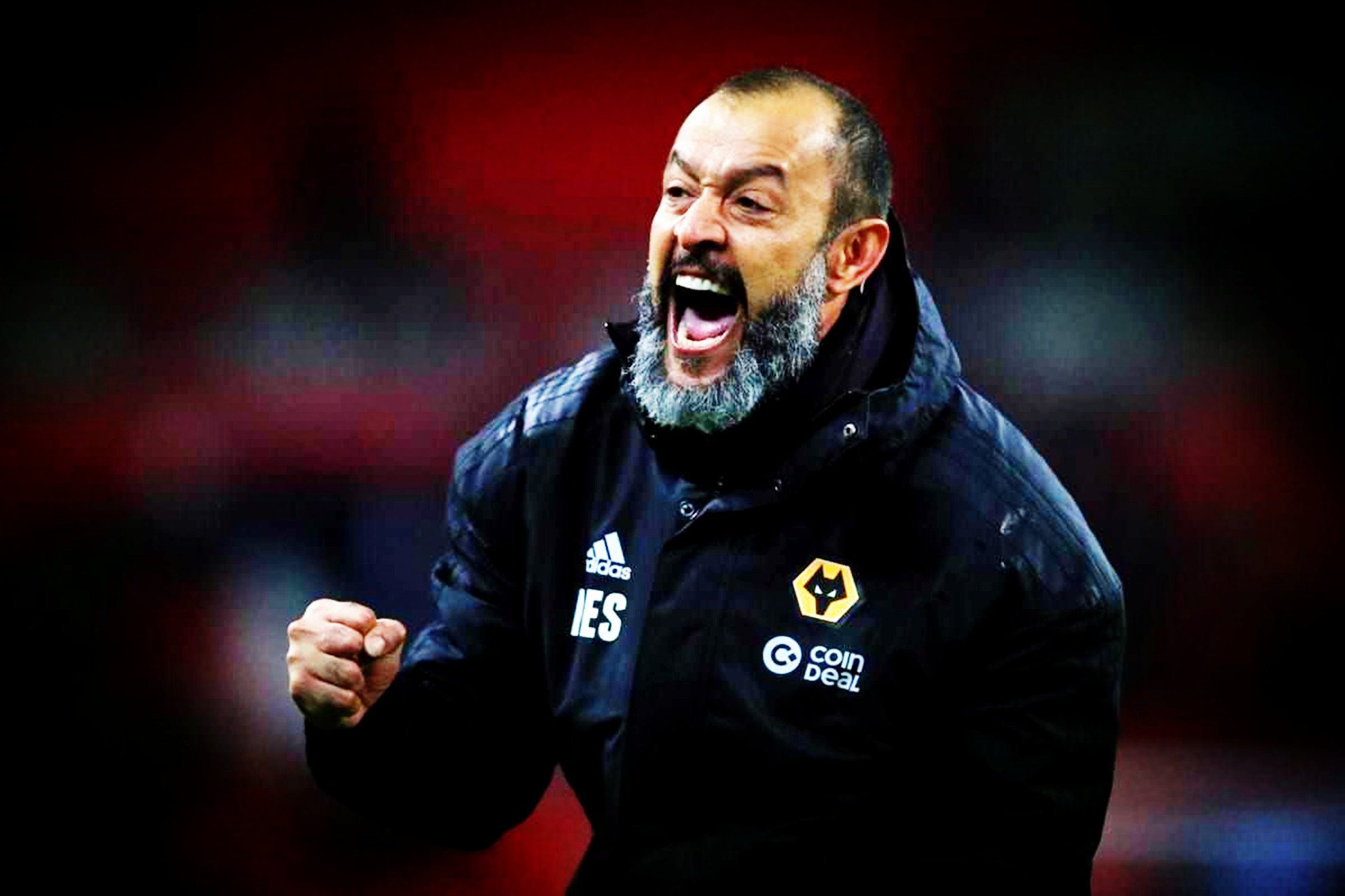 狼队最新转会信息,狼队新赛季转会