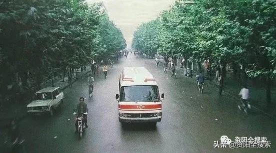 资阳和平路又到了飘“毛毛雨”的时候