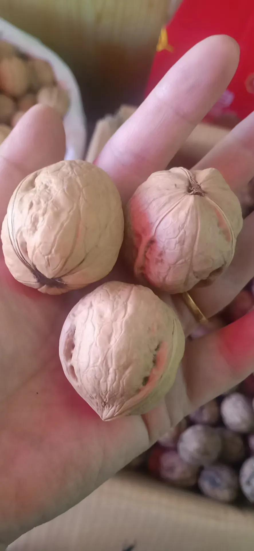 鐤嗘灉鏂版灉鐗逛骇,鏂扮枂骞叉灉