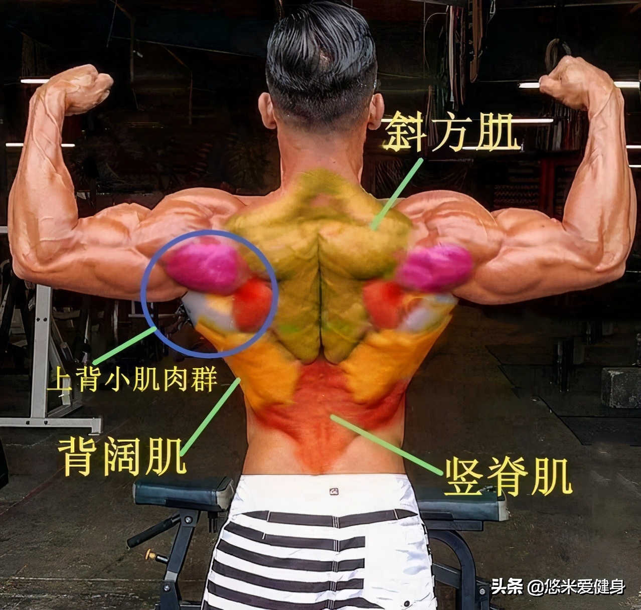 弹力带可以辅助找到背部发力点吗,弹力带练背部肌肉最佳的动作