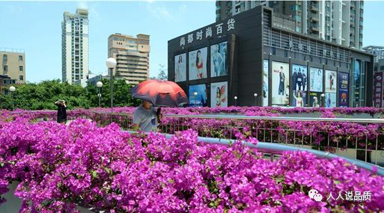 采花大盗逃到哪里了,采花大盗来访