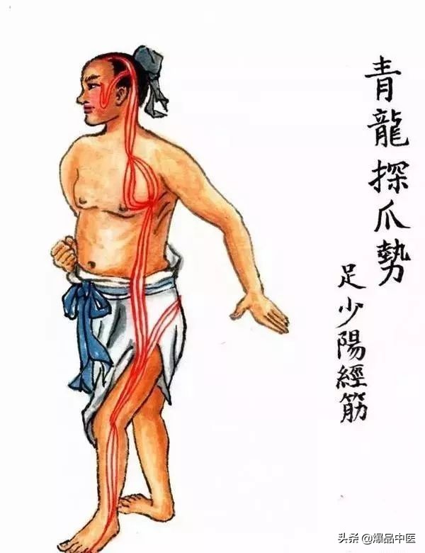 十二经筋连接动态图,十二经筋的图解