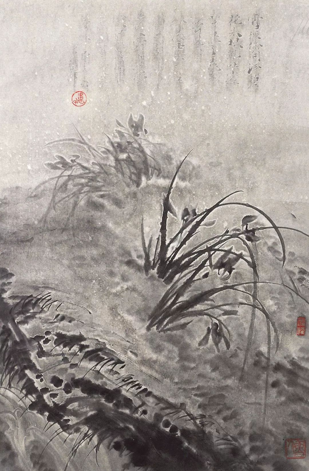 如何画兰花图片大全大图,怎么样画兰花才能好看