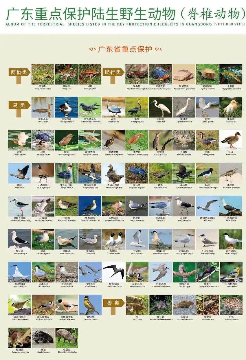 餐饮老板大呼扛不住！纷纷要求减免三四月租金