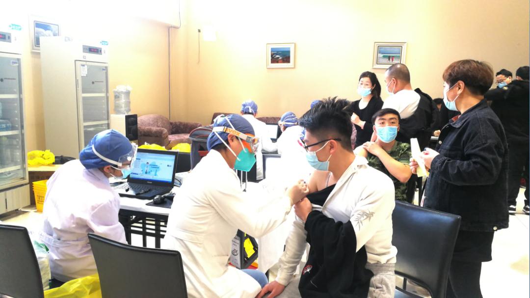 这里的玉兰花开了