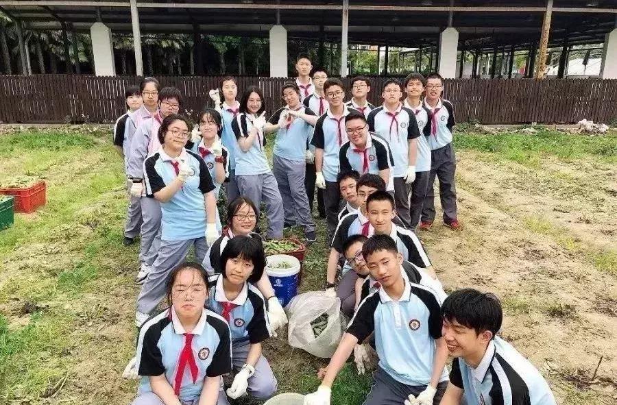 今年多招3个班，入户需要满1年以上！这所一贯制公办校值得关注