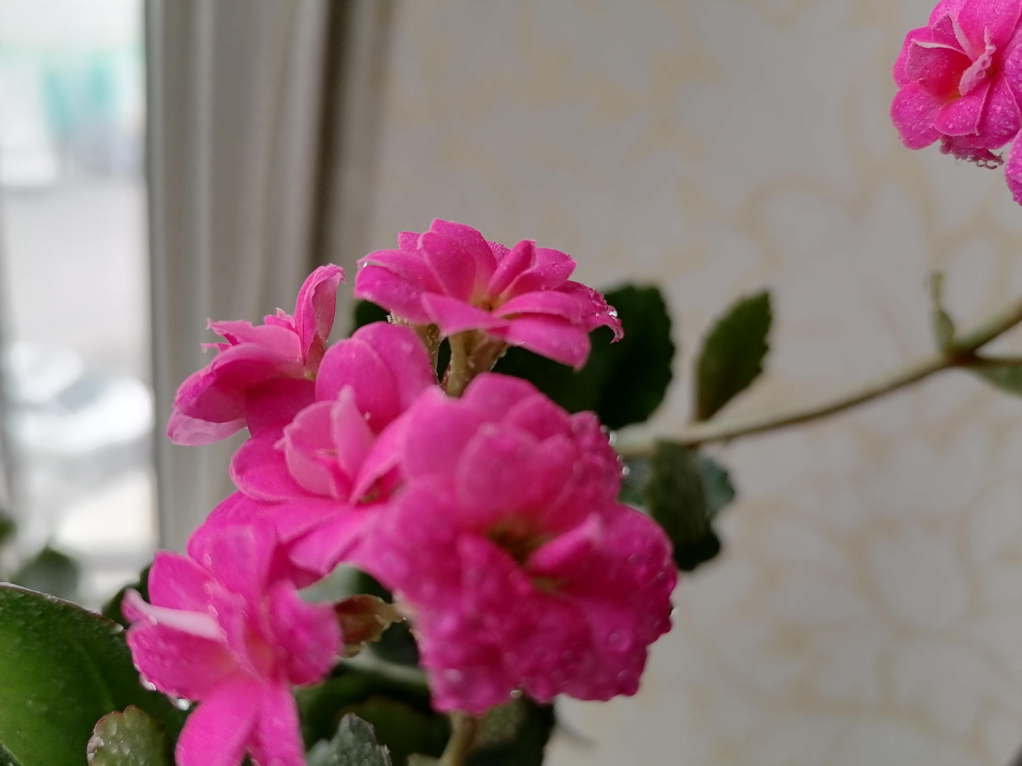 金子是怎么练出来的,金子是怎样炼成的