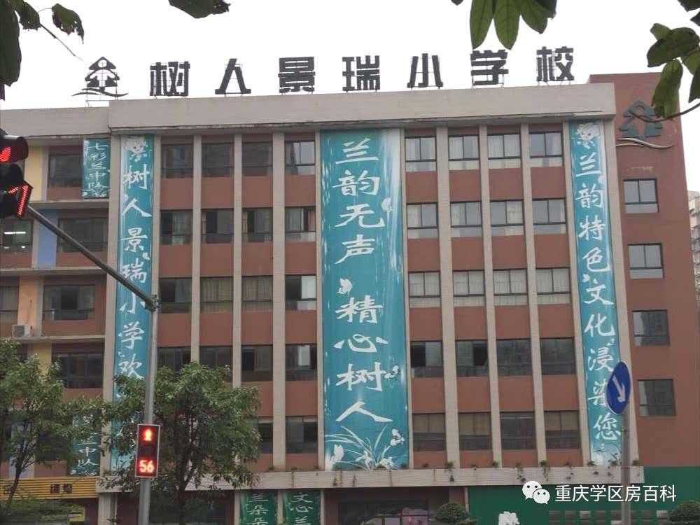 树人小学到底有多少分校,重庆市树人小学有几个分校
