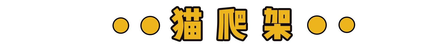 新到家猫咪需要做什么体检,猫咪到家第一夜铲屎官怎么做