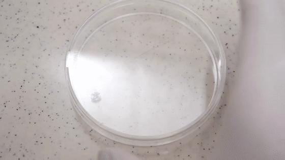 指甲盖做钻戒,日本男子收集指甲制成求婚戒指