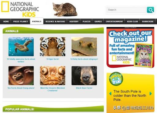 微笑围观美国网课:放过彼此,欢乐玩去吧,学习什么的都是浮云