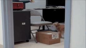 软骨素治膝盖痛,软骨素对膝盖疼痛有效果吗