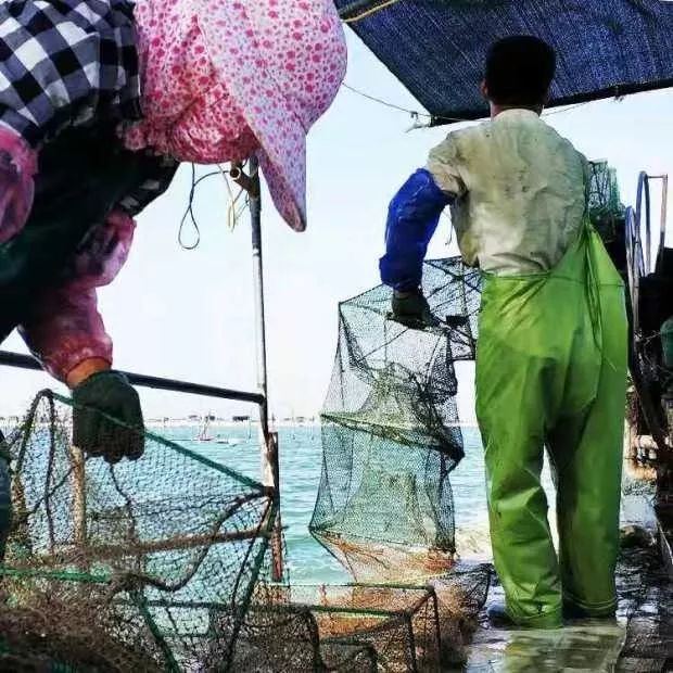 2万铁粉的海上直播间：出海、赌网、买海货，“一网邮费花两百”