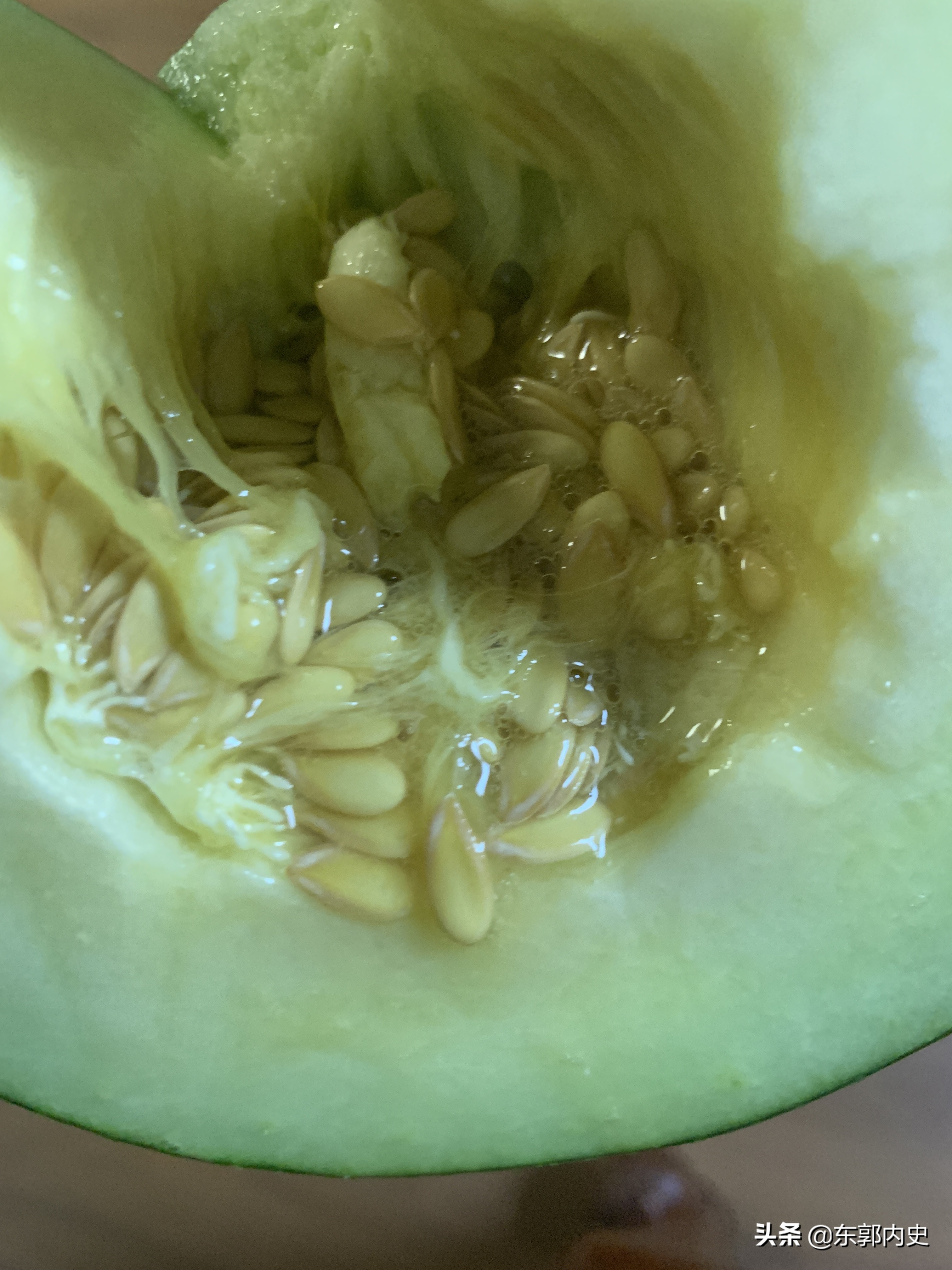 你吃西瓜吐籽吗什么梗,你吃西瓜时吐籽吗