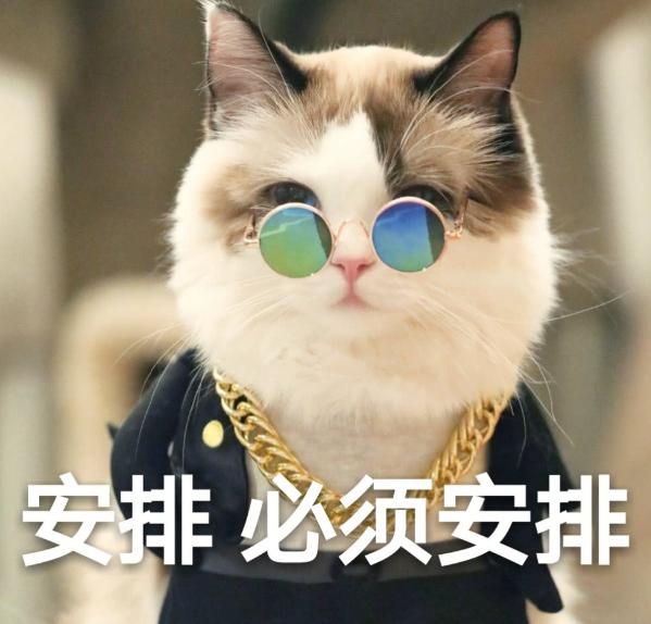 哪些马桶千万不要买,千万不要贪便宜买这三种马桶