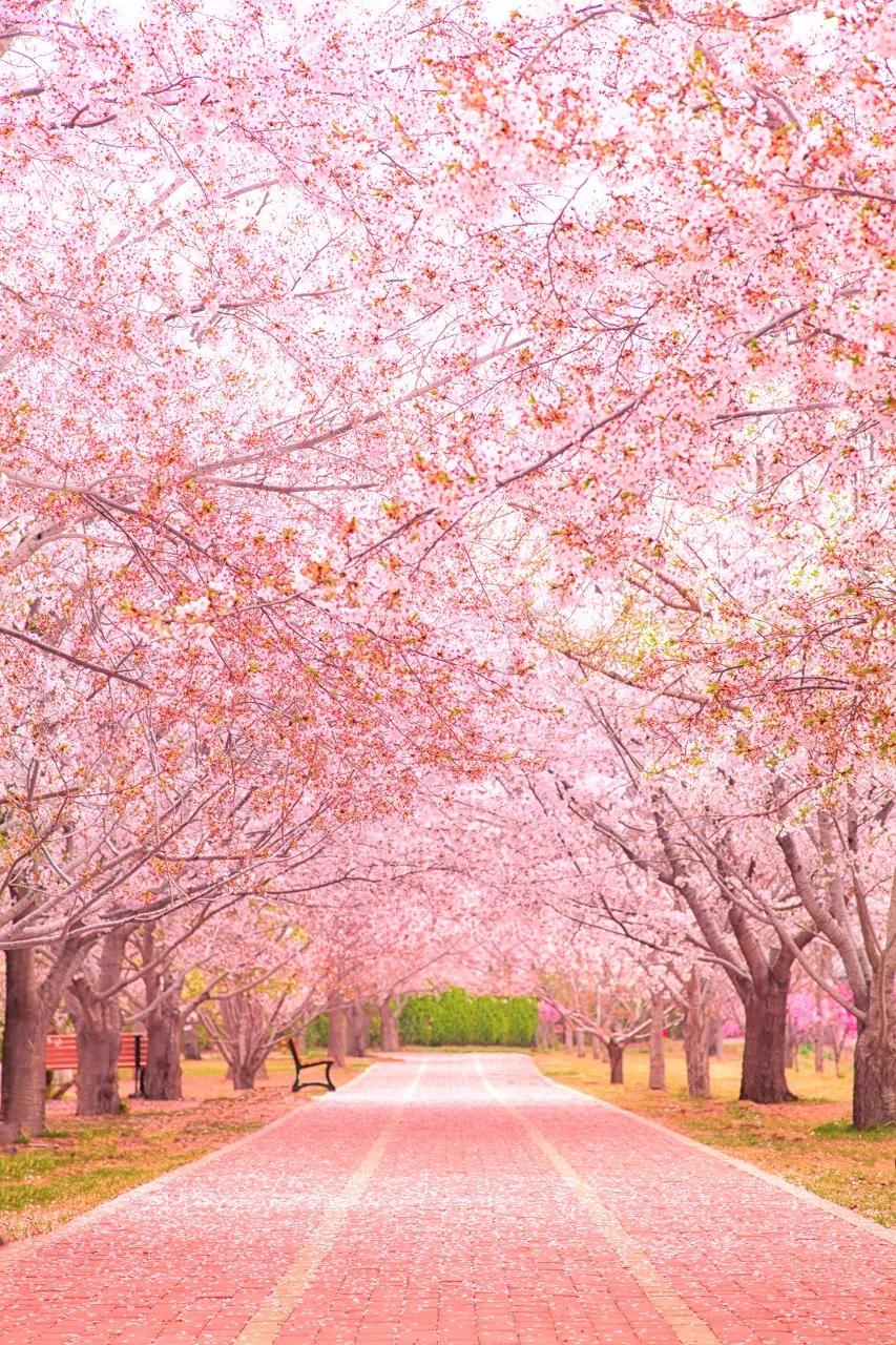 美过三亚！比厦门浪漫！中国这座海滨老城，去一次相当环游世界！