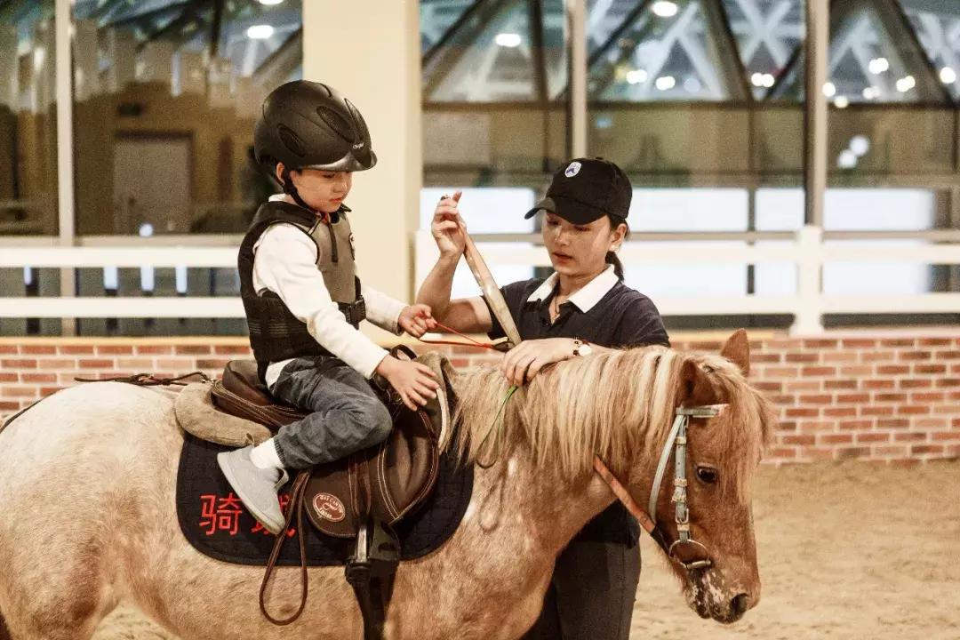 金地商置实力怎么样,金地商置深度解析