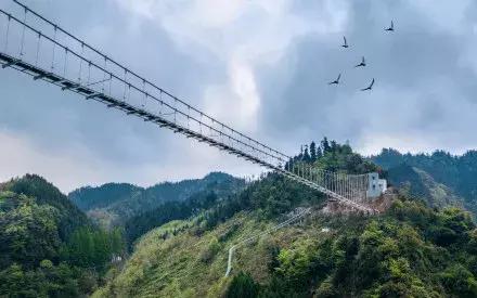 成都秋老虎发威的地方,成都秋老虎最新视频