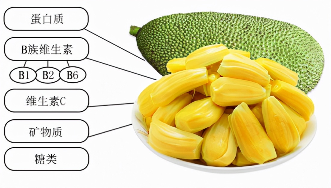 菠萝蜜不知道熟没熟从哪里开始切,你不知道的菠萝蜜图片