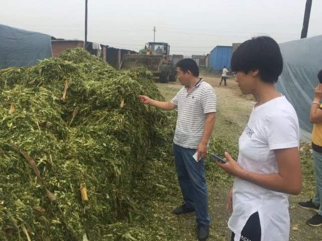 杨建辉2016,唐山杨建辉