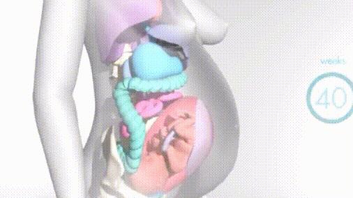 孕期消化不良能吃乳酸菌素片吗,孕期胃胀消化不良该如何调理