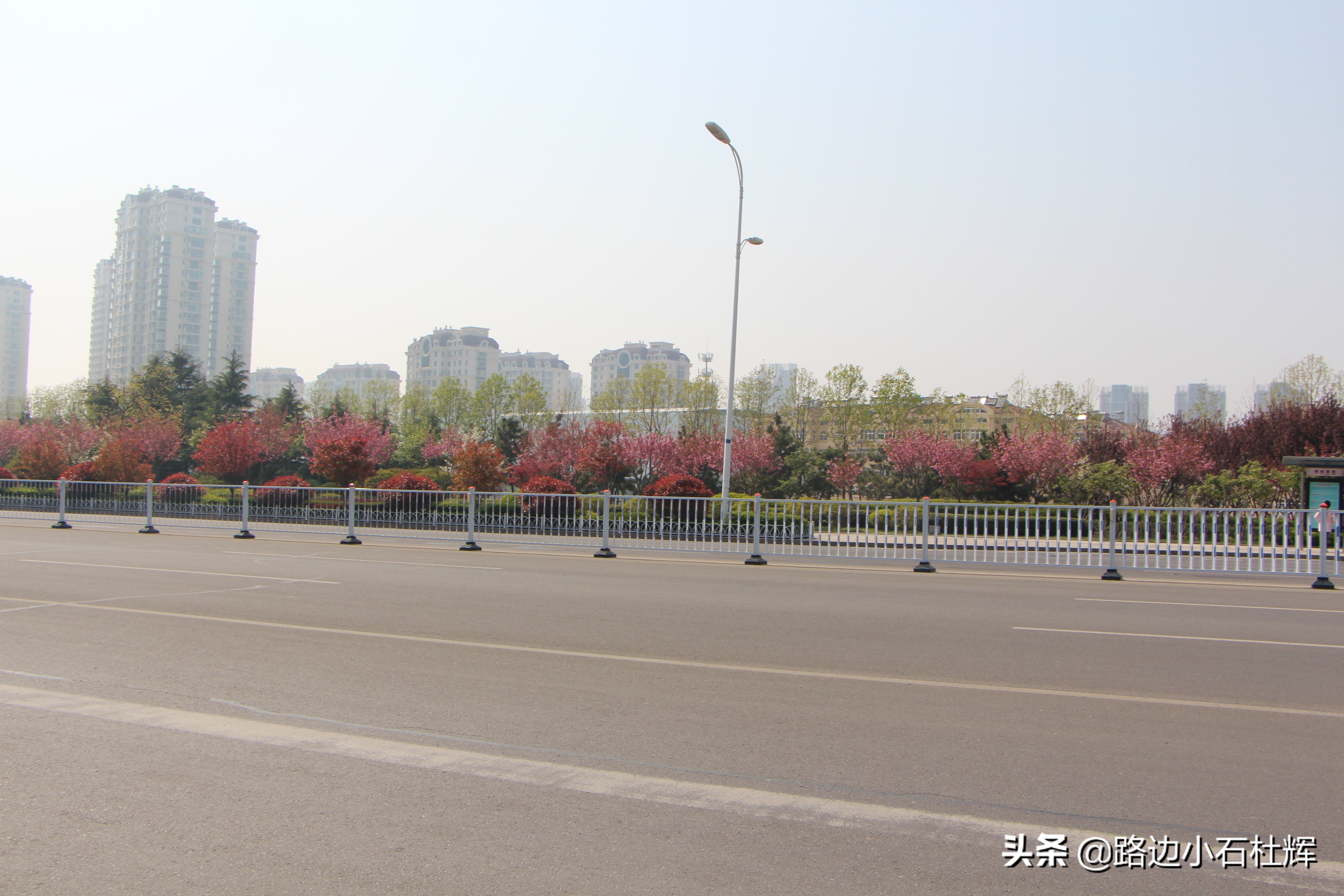 青岛黄岛记忆,青岛金沙滩景色图