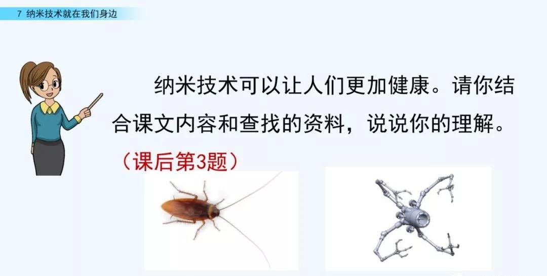 部编语文四年级下册第10课练习,部编语文四年级下十六课练习