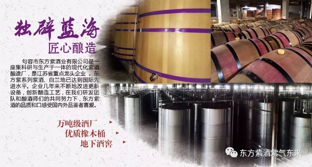 桑椹酒哪的产地最好最正宗,东方紫甜桑葚