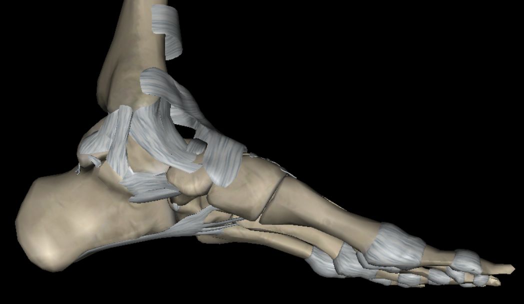 天生的平足需不需要治疗,平足治得了吗