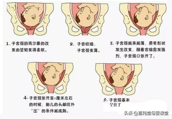 入盆的征兆,入盆有什么征兆