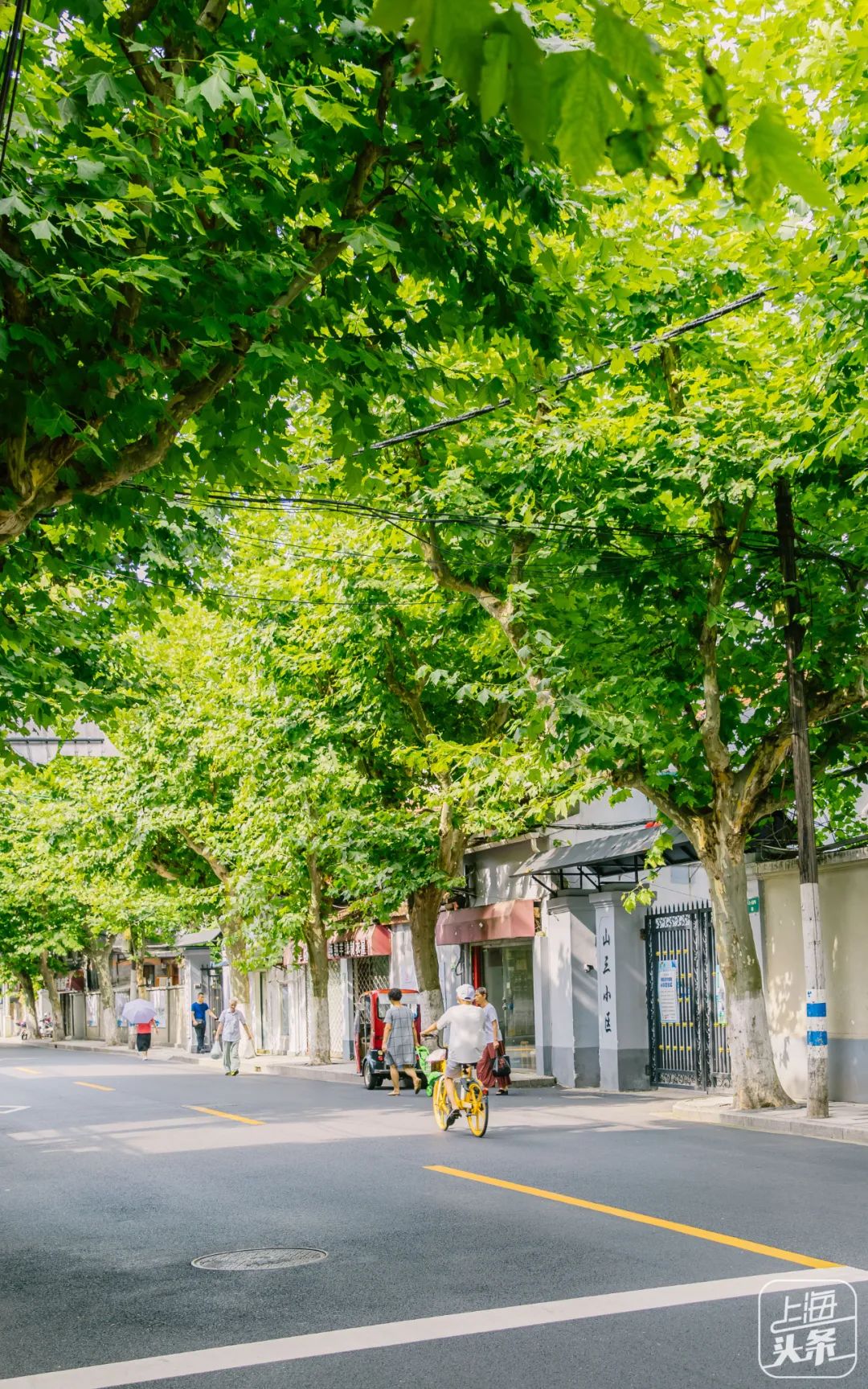 上海永不拓宽的马路列表,上海永不拓宽的道路有哪些