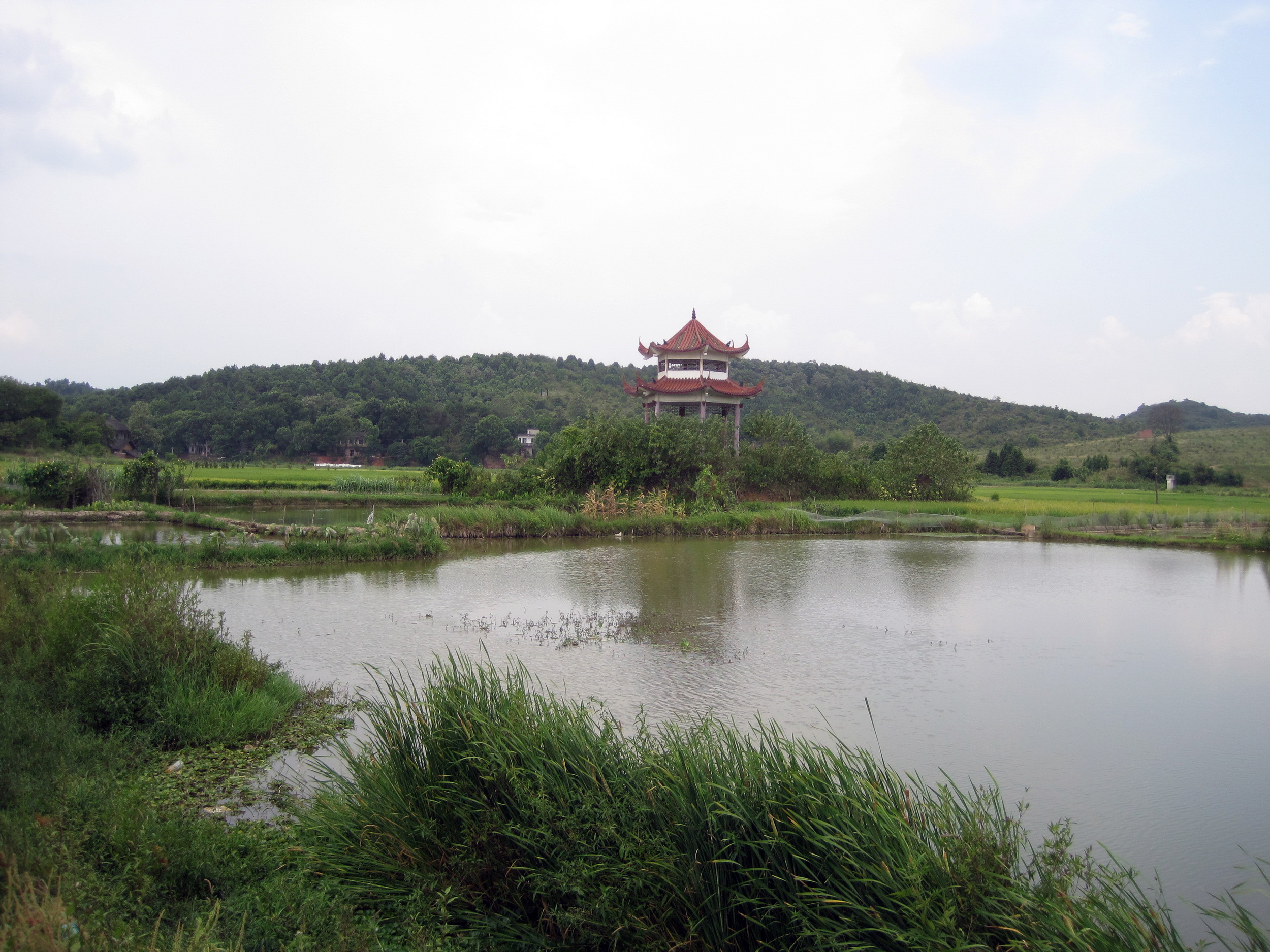 探秘——容驷堂始祖八三郎及容驷村事略