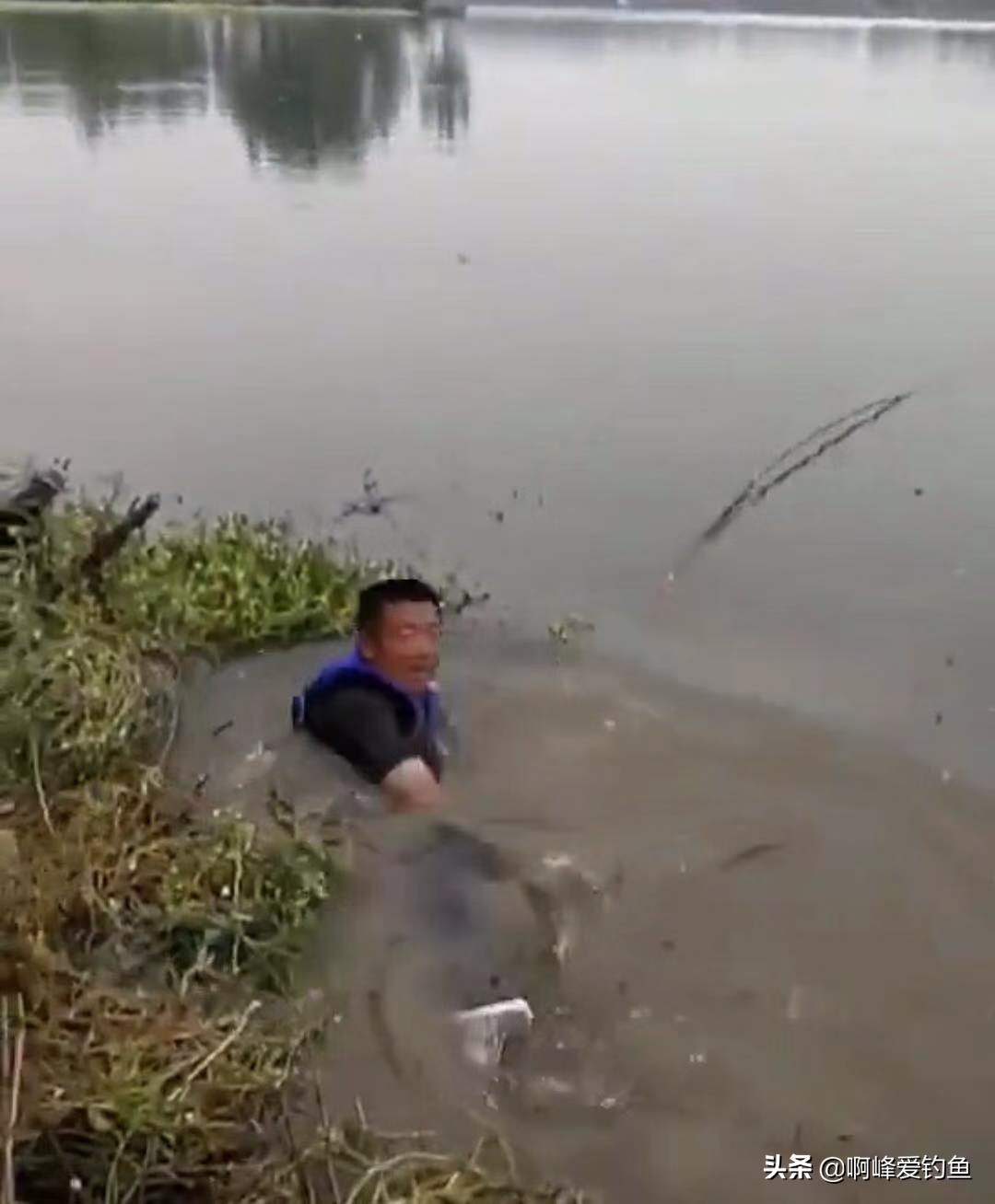 鍏充簬浠垮搧楸肩,浠垮搧楸肩璇勬祴