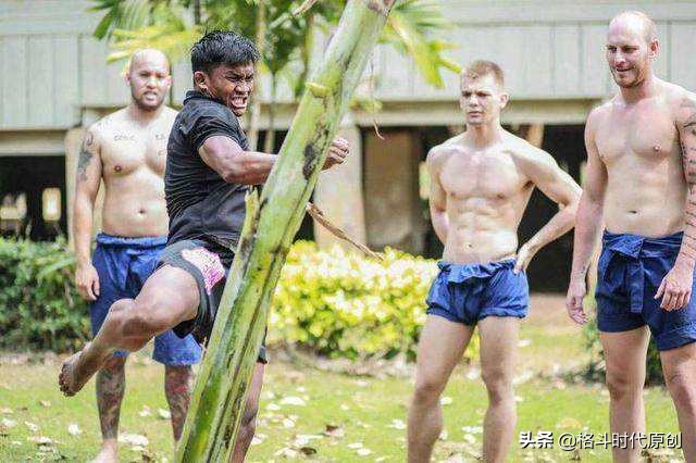 怎么练习泰拳扫踢胫骨比以前粗了,泰拳练习踢树