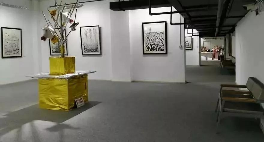 蓝花楹昆明网红打卡地在哪里,昆明周边湿地公园网红打卡地