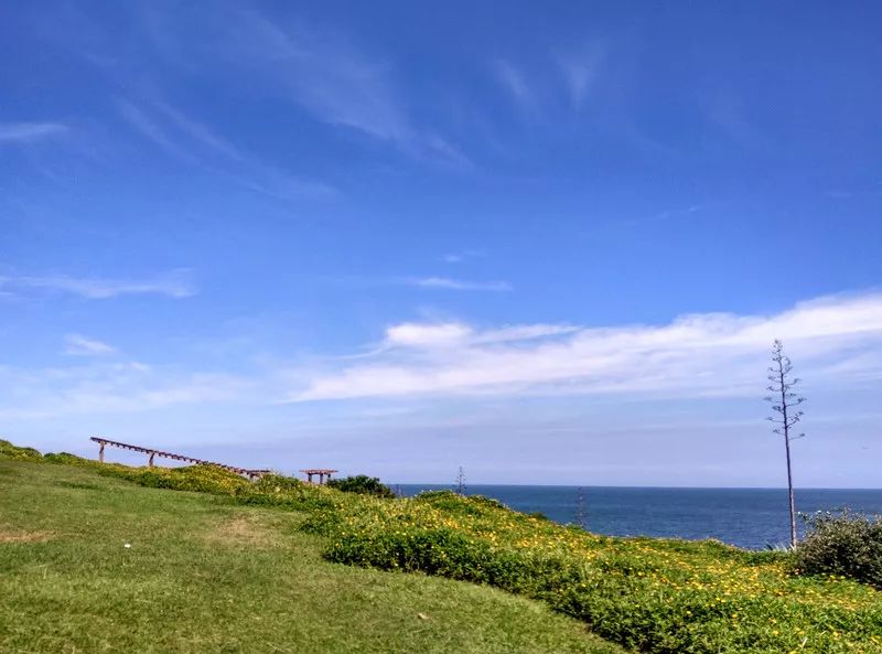 鐏北宀涙毚椋庨洦瑙嗛,鐏北宀涙毚椋庨洦