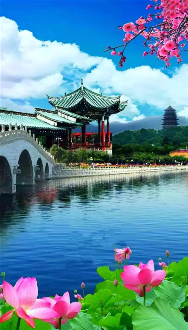 送你一张绝美壁纸,送你一张超美竖屏壁纸