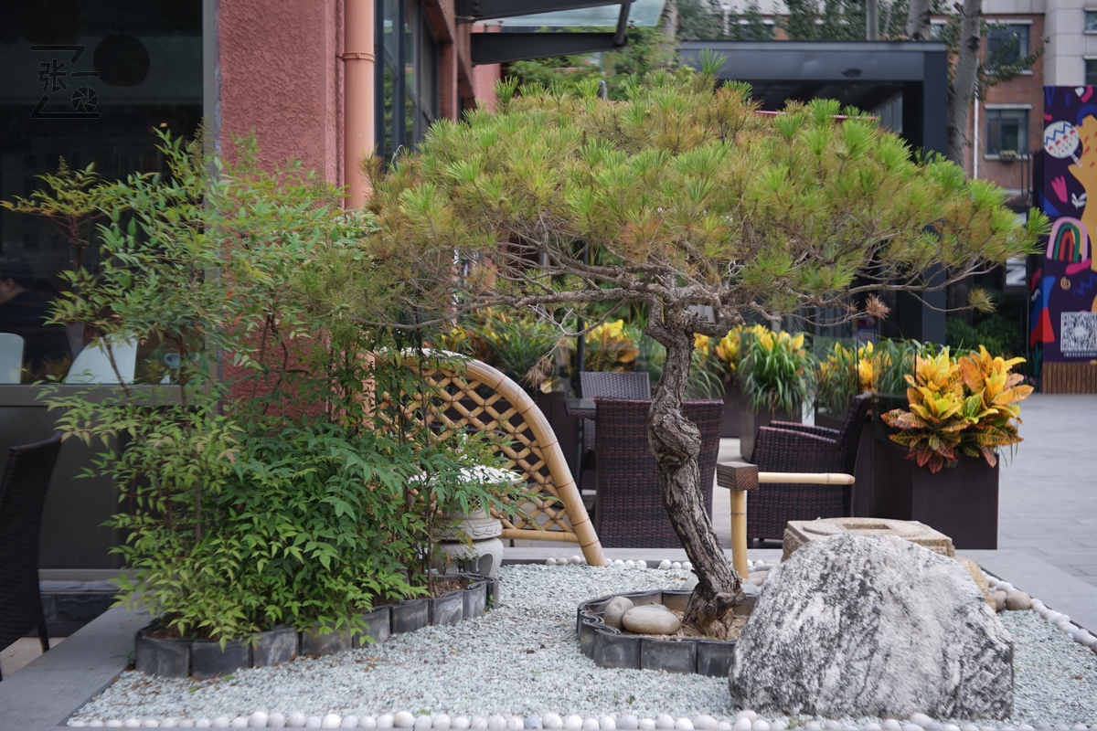 适合索尼a7m4的50定焦镜头测评,索尼a7m4镜头24-105f4测评