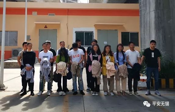 微信里的卖酒姑娘,卖酒姑娘诈骗团伙