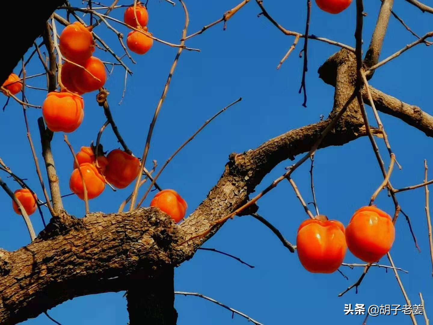 粮食店街：酱菜的扛把子和二锅头的发源地
