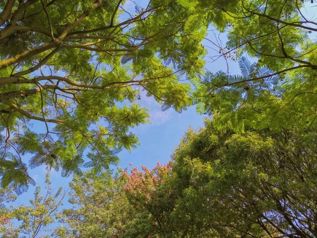 看,这是属于泉信的秋韵