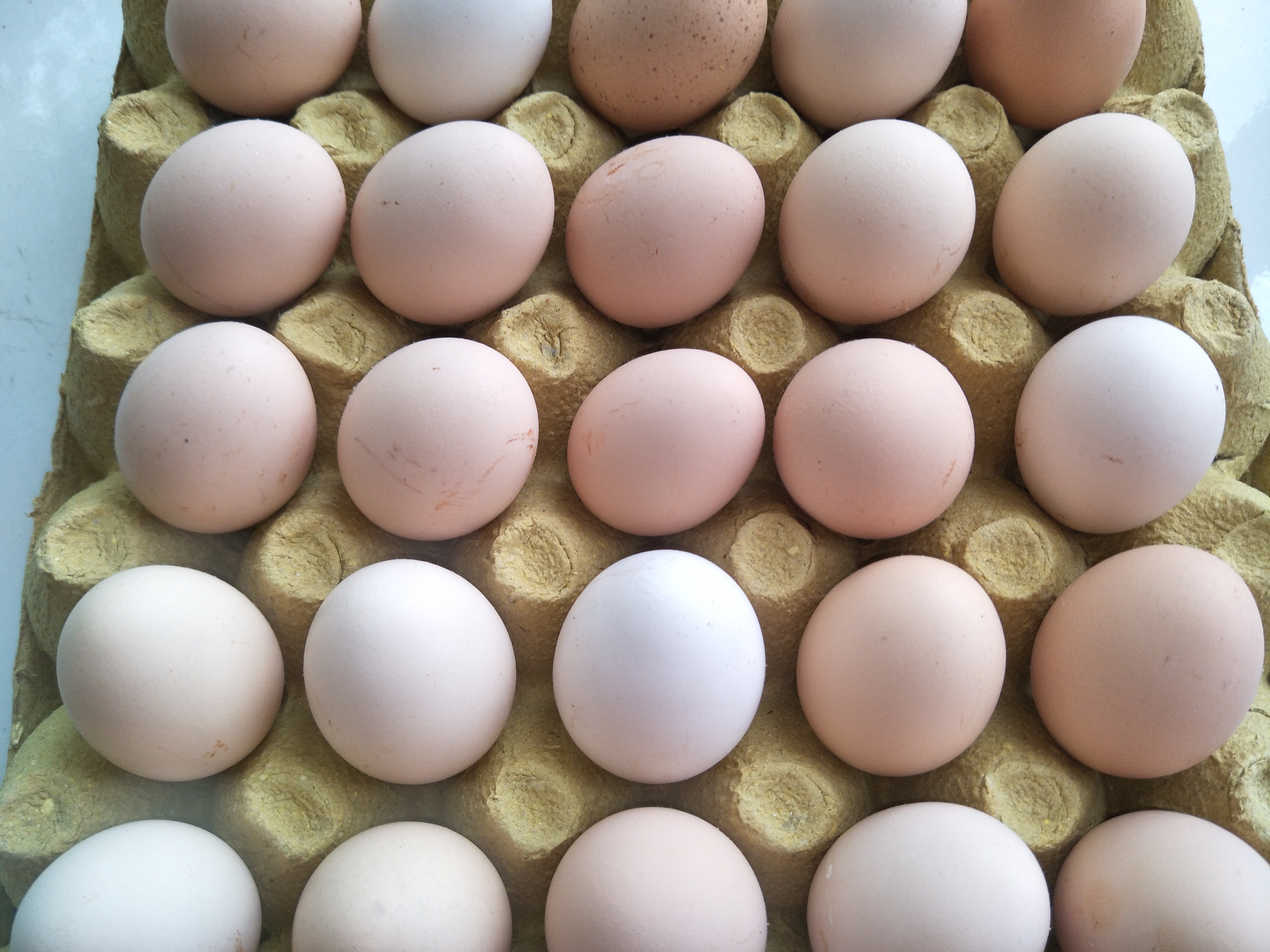 保存鸡蛋是大头朝上还是小头朝上,公鸡蛋如何保存不变质