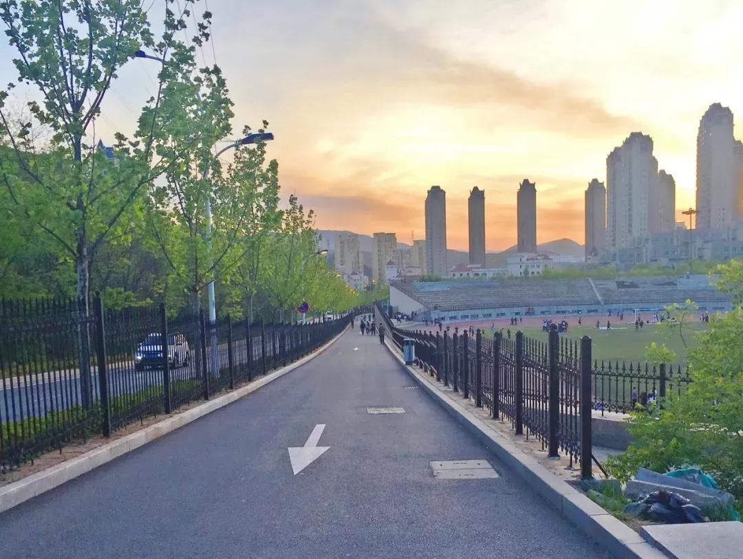 辽宁省民办大学（二）大连东软信息学院